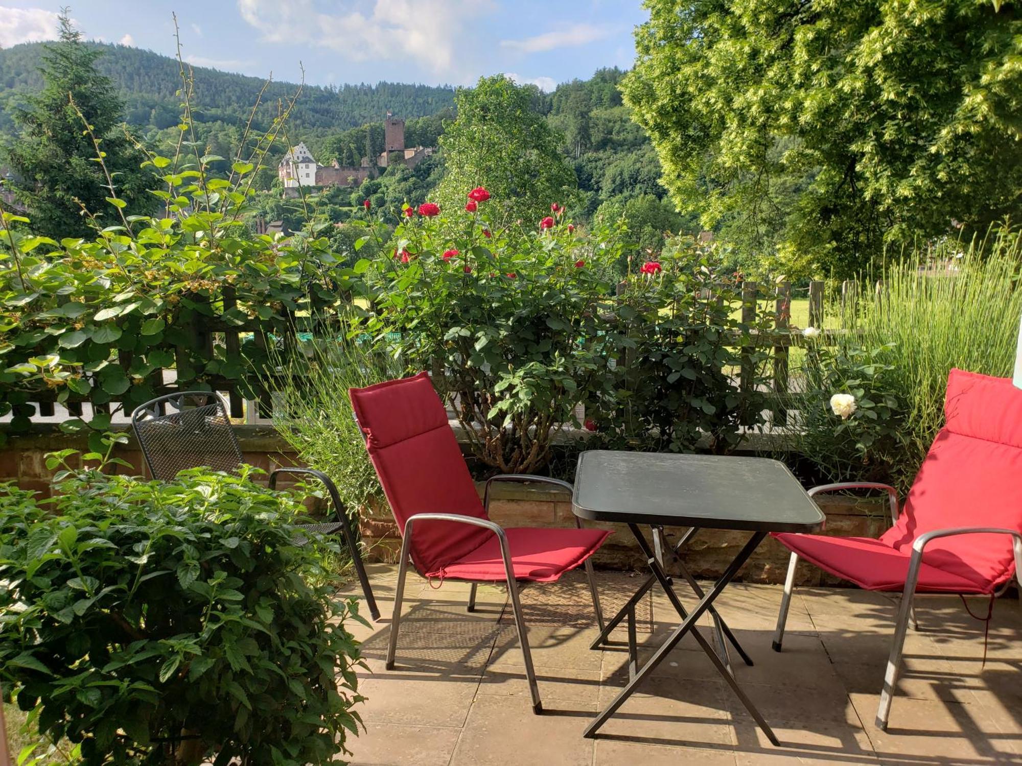 Апартаменты Panorama-Blick Miltenberg, 3 Pers., Zentr., Am Main, Terrasse, Bootverleih, P Экстерьер фото