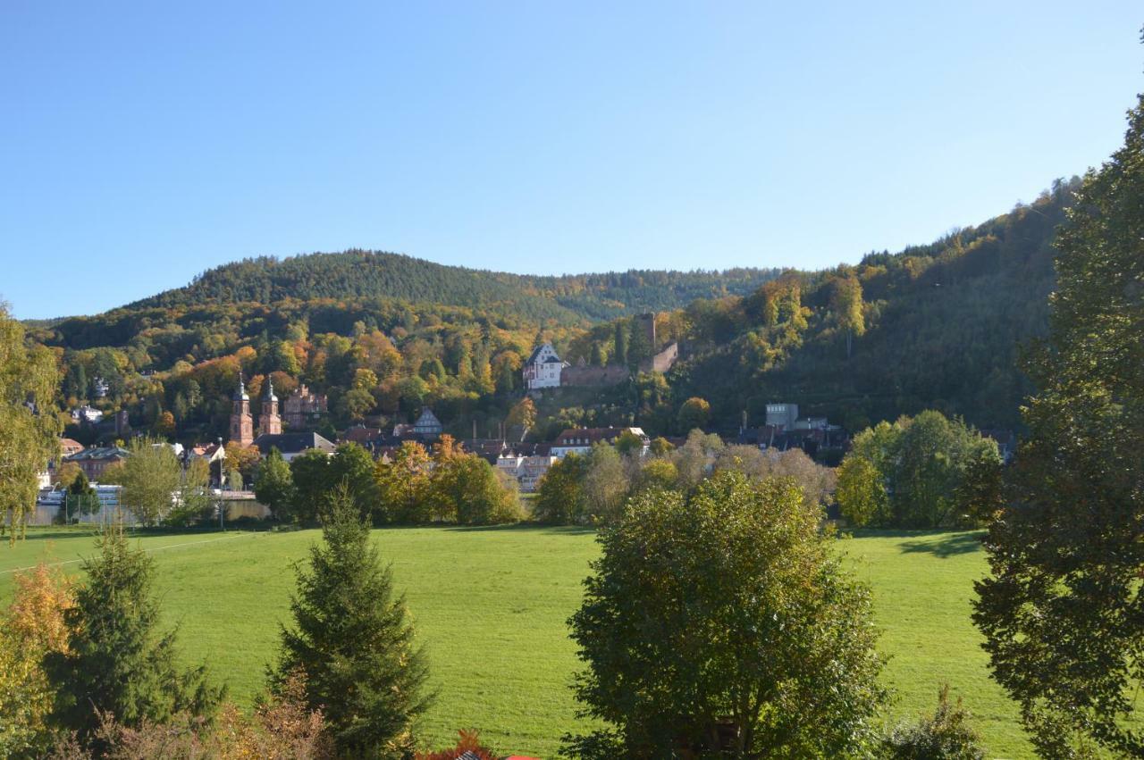 Апартаменты Panorama-Blick Miltenberg, 3 Pers., Zentr., Am Main, Terrasse, Bootverleih, P Экстерьер фото