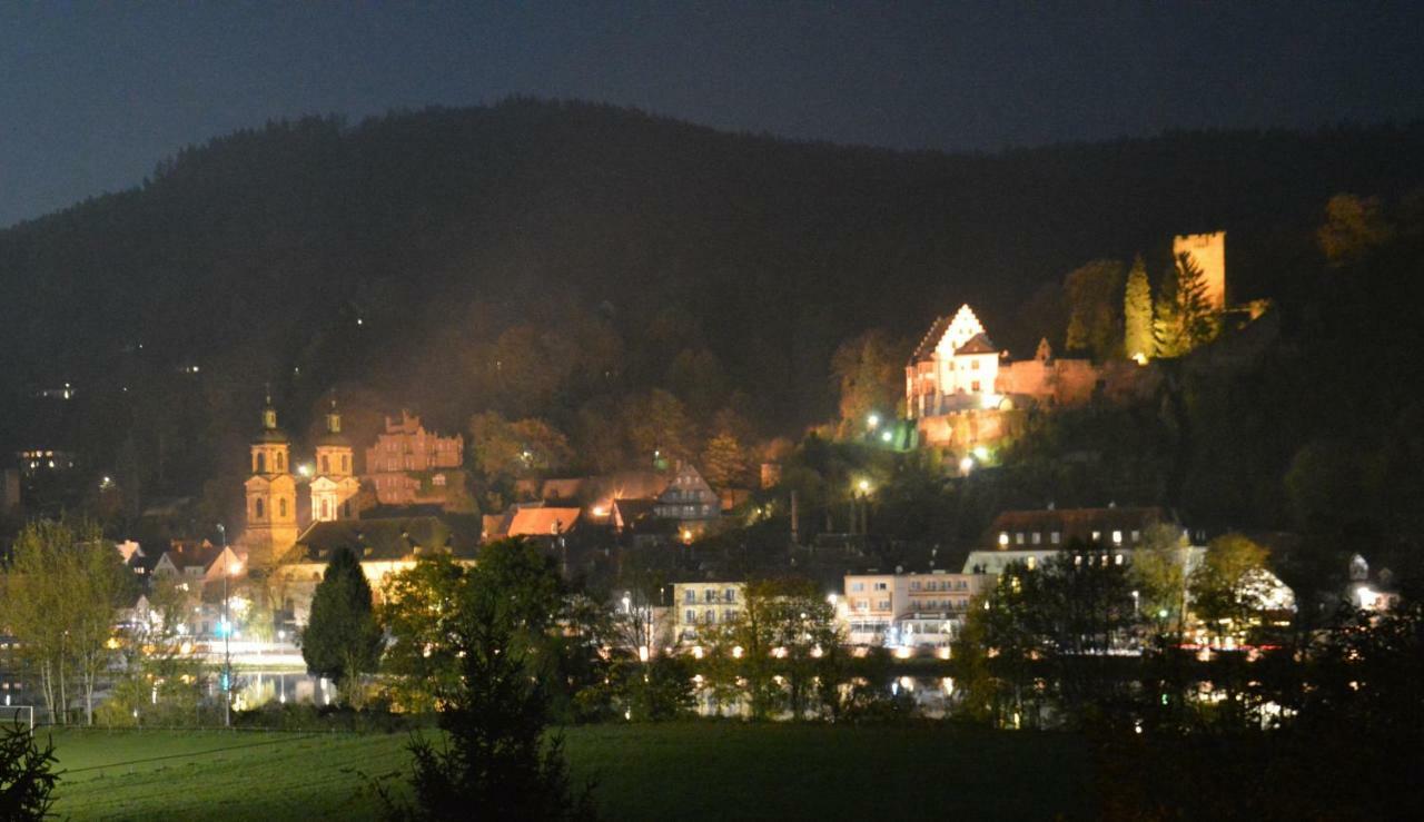 Апартаменты Panorama-Blick Miltenberg, 3 Pers., Zentr., Am Main, Terrasse, Bootverleih, P Экстерьер фото