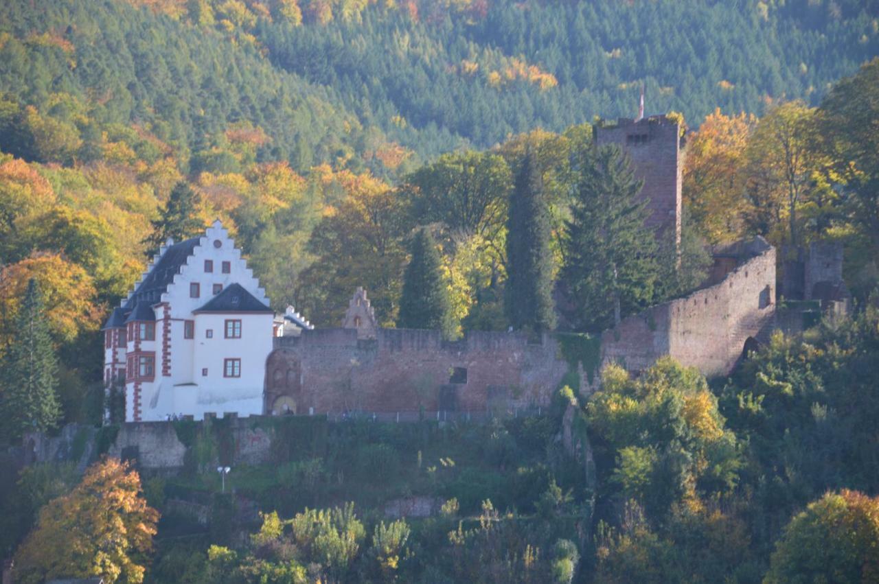 Апартаменты Panorama-Blick Miltenberg, 3 Pers., Zentr., Am Main, Terrasse, Bootverleih, P Экстерьер фото