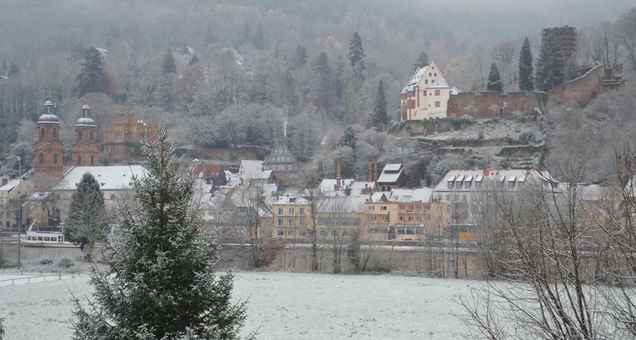 Апартаменты Panorama-Blick Miltenberg, 3 Pers., Zentr., Am Main, Terrasse, Bootverleih, P Экстерьер фото