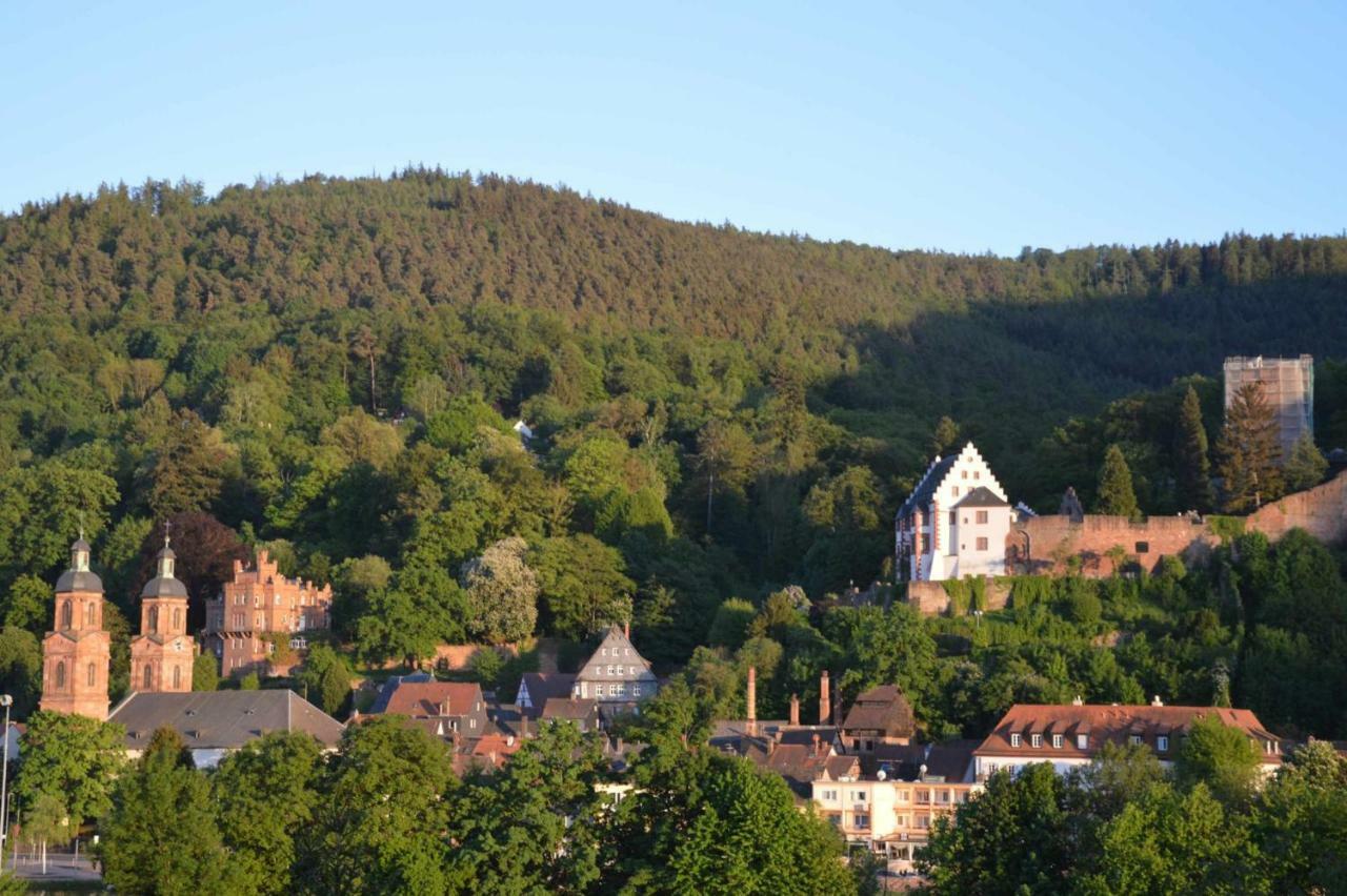 Апартаменты Panorama-Blick Miltenberg, 3 Pers., Zentr., Am Main, Terrasse, Bootverleih, P Экстерьер фото